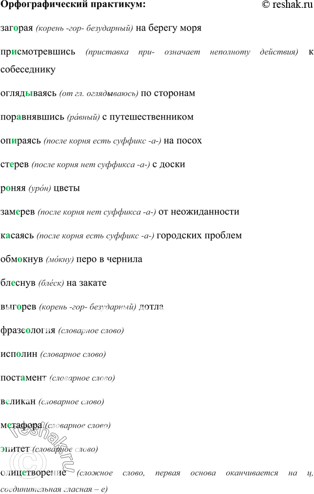 Изображение Орфографический практикум 22 ГДЗ Рыбченкова Александрова 7 класс